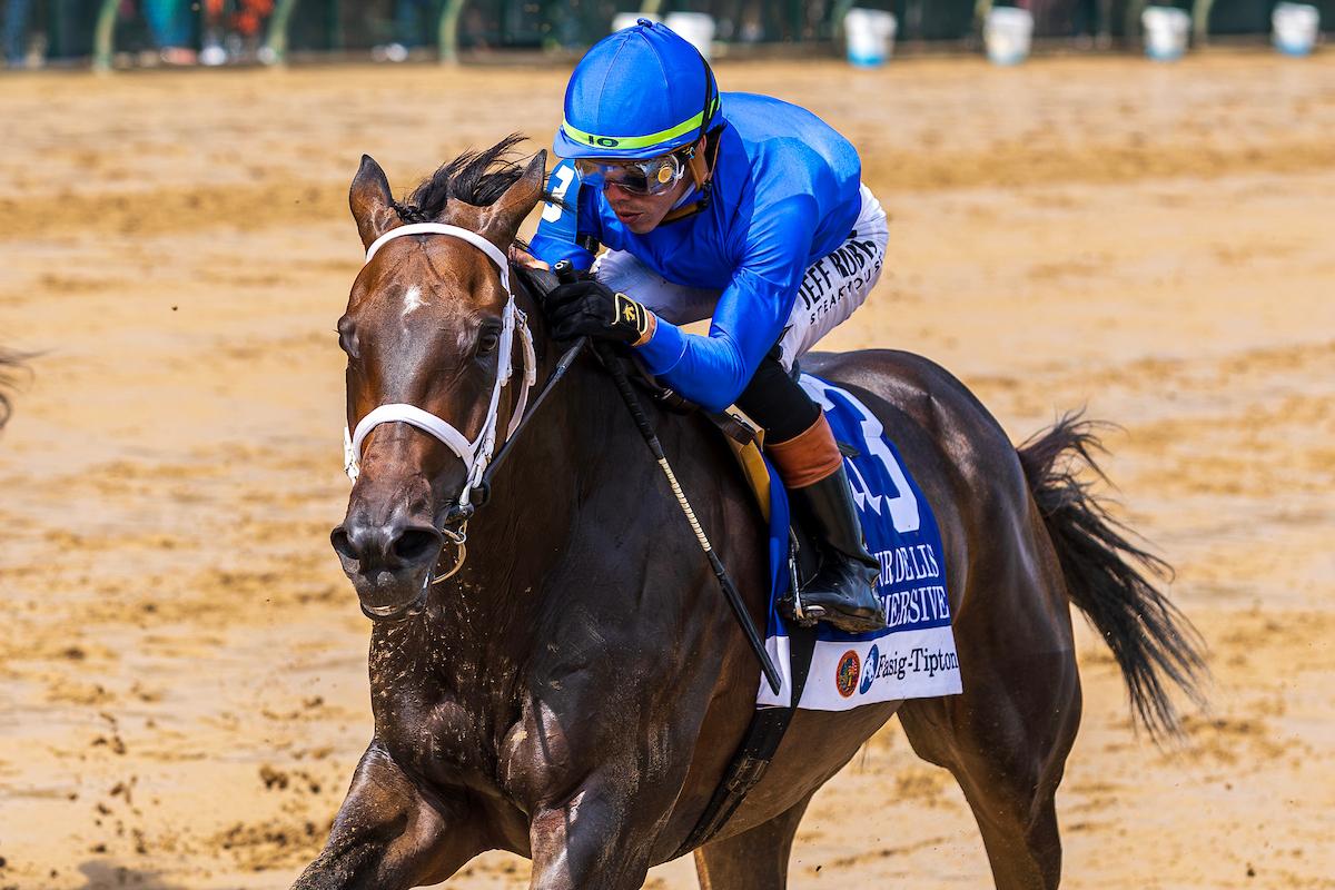 Immersive, Breeders' Cup Distaff, Keeneland, horse racing, America's Best Racing, ABR Immersive, Breeders' Cup Distaff, Keeneland, horse racing, America's Best Racing, ABR